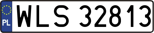 WLS32813