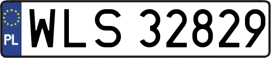 WLS32829