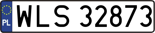 WLS32873