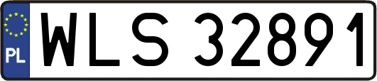 WLS32891