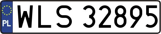 WLS32895