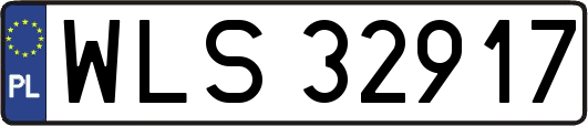 WLS32917