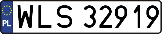 WLS32919