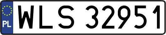 WLS32951