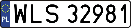 WLS32981