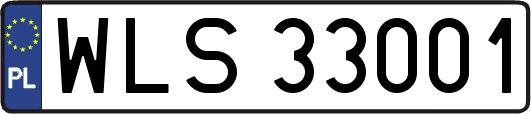 WLS33001