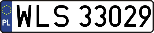 WLS33029