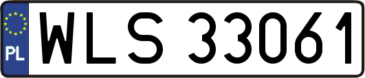 WLS33061
