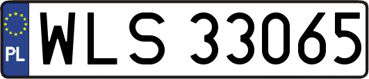 WLS33065