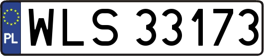 WLS33173