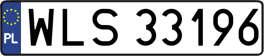 WLS33196