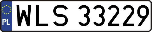 WLS33229