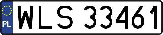 WLS33461