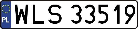 WLS33519