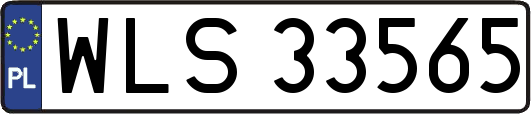 WLS33565