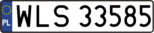 WLS33585