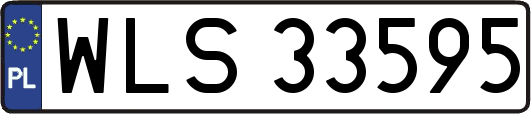WLS33595