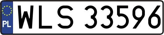 WLS33596