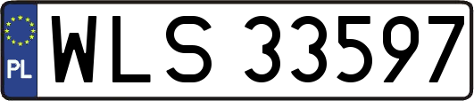 WLS33597