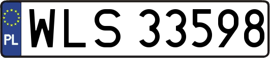 WLS33598