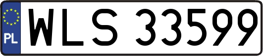 WLS33599