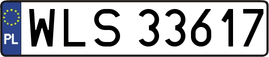 WLS33617
