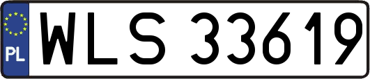 WLS33619