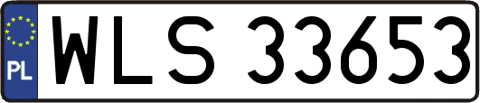 WLS33653