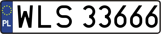 WLS33666