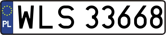 WLS33668