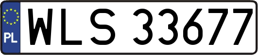 WLS33677