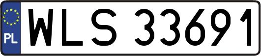 WLS33691