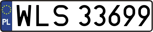 WLS33699