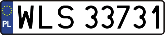 WLS33731