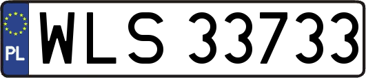 WLS33733