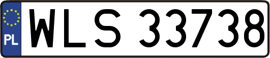 WLS33738