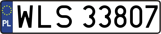 WLS33807