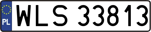 WLS33813
