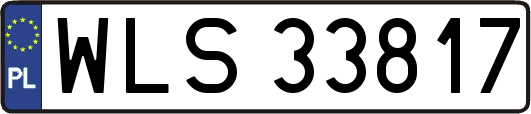 WLS33817