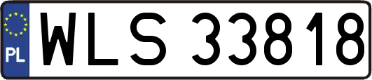 WLS33818
