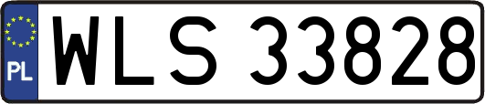 WLS33828