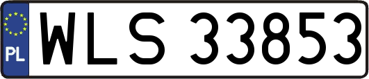 WLS33853