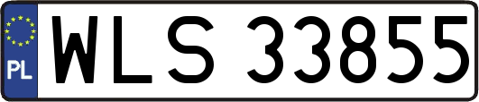 WLS33855