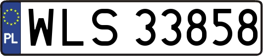 WLS33858