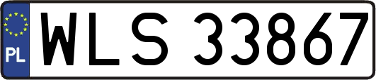WLS33867