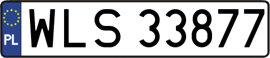 WLS33877