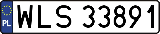WLS33891