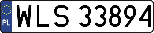 WLS33894