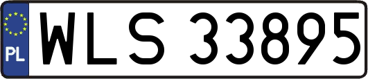 WLS33895
