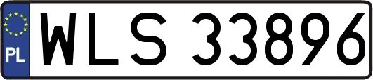WLS33896